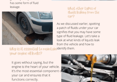 new-Everything-to-Know-About-Engine-Oil-Leaks-and-How-to-Avoid-Them