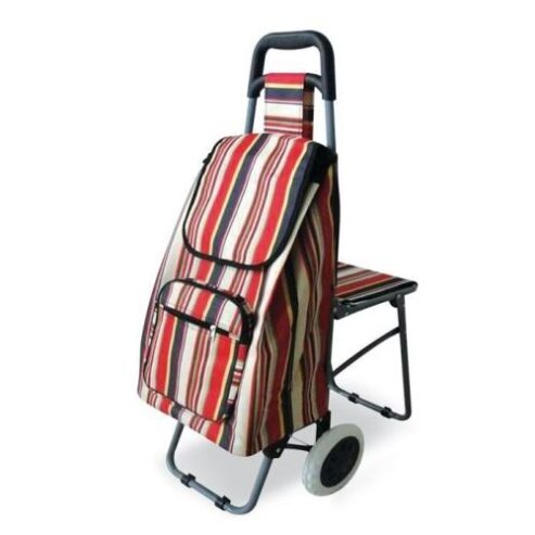 5.-Shopping-Trolley-With-Fold-Out-Seat